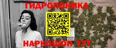 стафф Моздок
