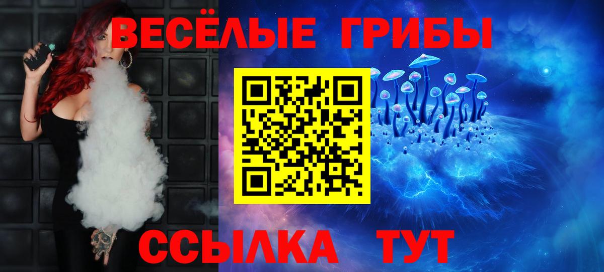 Псилоцибиновые грибы Psilocybine cubensis Шелехов