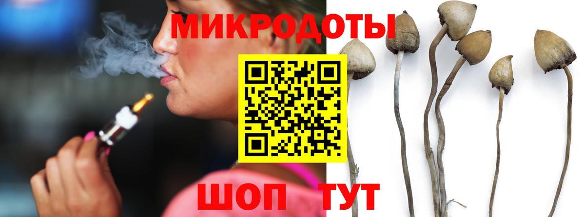 Галлюциногенные грибы мицелий  Вход с VPN  Галлюциногенные грибы мицелий  Шелехов 